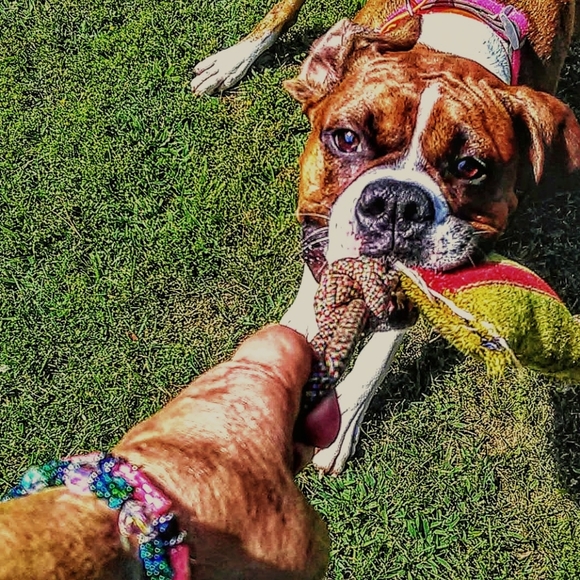 Tug And Go repurposed firehose original Tug - Picture 12 of 15